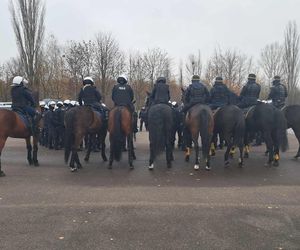 Atestacja koni służących w łódzkiej policji i straży miejskiej