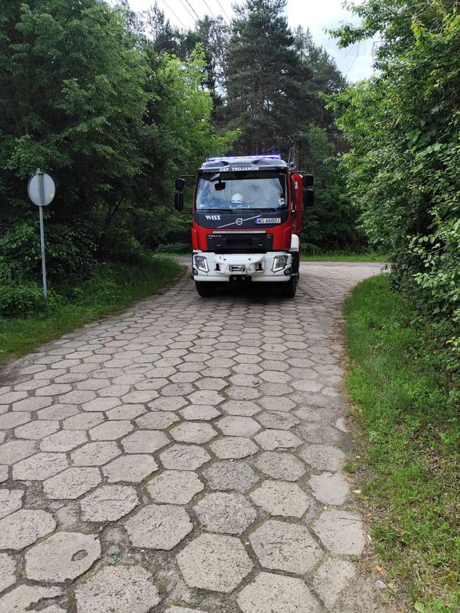 Staruszka wjechała samochodem do stawu! Dramatyczna akcja strażaków