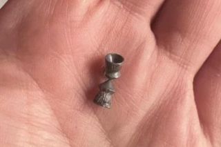 Znęcanie się na zwierzętami. Ktoś strzelał do kotki Pepsi