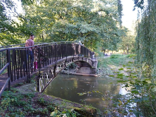 tłumy spokojnie spacerujących spacerowiczów w Pszczynie ZDJĘCIA