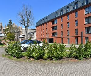 Rewitalizacja Dolnego Miasta i Starego Przedmieścia
