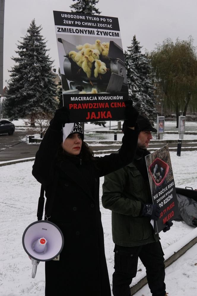 W Grudziądzu manifestowali aktywiści na rzecz zwierząt