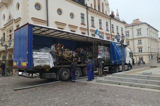 Świąteczna choinka już na rzeszowskim Rynku! Trwa montaż świątecznych ozdób [GALERIA]