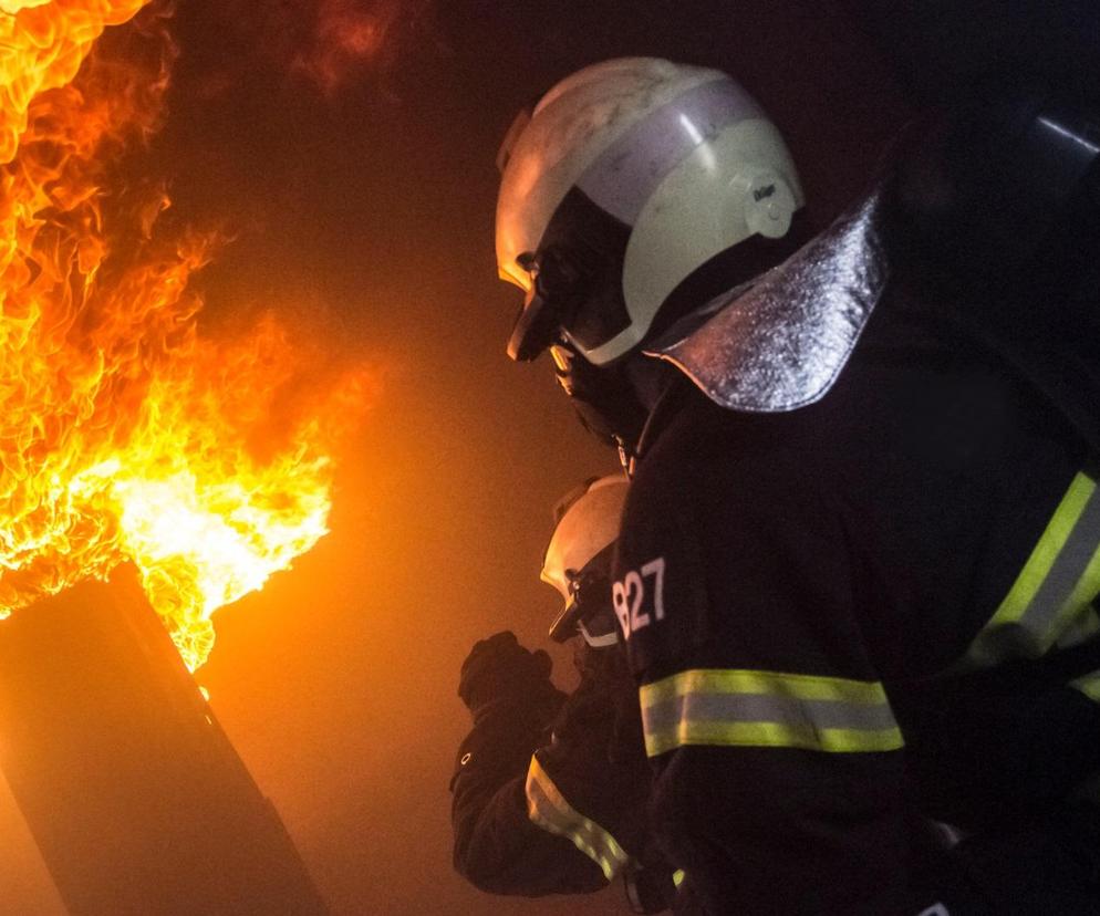 Pożar w Siemianowicach Śląskich. Ewakuowano 41 osób, w tym 15 dzieci. Dwie osoby w szpitalu