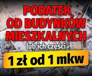 Podwyżki lokalnych podatków. Maksymalne stawki w 2023 roku