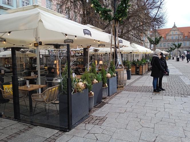 Świąteczne witryny sklepowe w Gdańsku