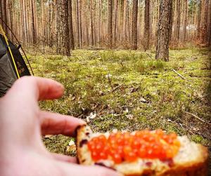 Małgorzata Gosiewska: Kupujcie namioty i jedźcie do lasu!