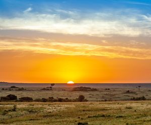 Potężne uderzenie wiosny! Ciepło nadciąga aż z Afryki. Temperatura będzie rosła z każdym dniem