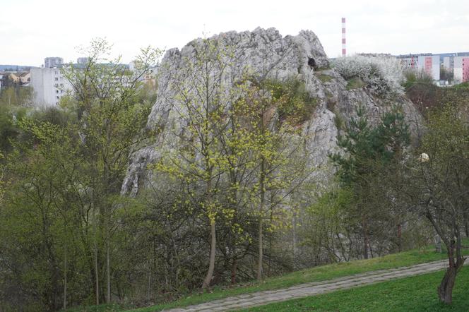 Panorama Kielc z Kadzielni