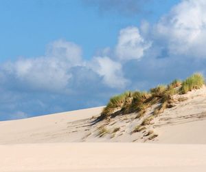 Najpopularniejsze plaże w województwie pomorskich. Są wysoko w ocenach podróżników!
