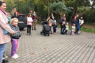 Drzwi otwarte w Centrum Edukacji Ekologicznej w Grudziądzu