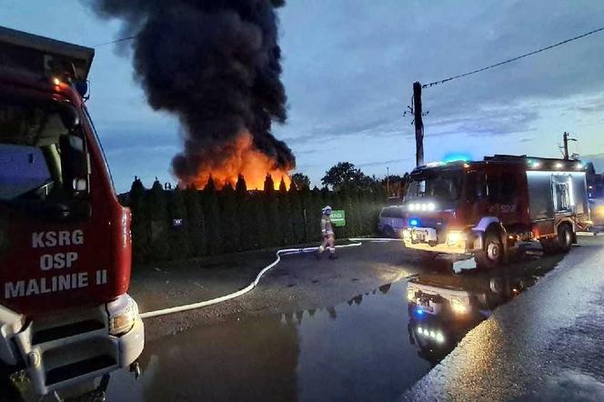 Potężny pożar składowiska wraków samochodów w Maliniu koło Mielca