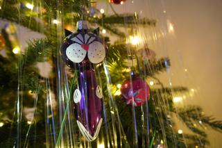 Na 18 metrach kwadratowych ma dwie choinki, a na nich setki bombek z czasów PRL. Odwzorował drzewko z domu babci