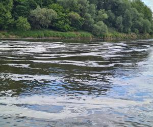 Kolejne zanieczyszczenie? Gęsta piana w korycie Wisły