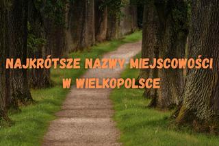 Najkrótsze nazwy miejscowości w Wielkopolsce. Zdziwisz się, ile mają liter! 