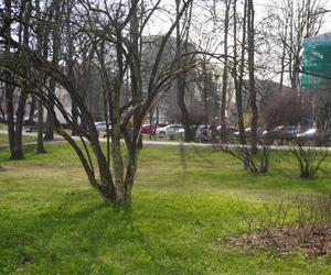 Pierwszy dzień wiosny w Białymstoku
