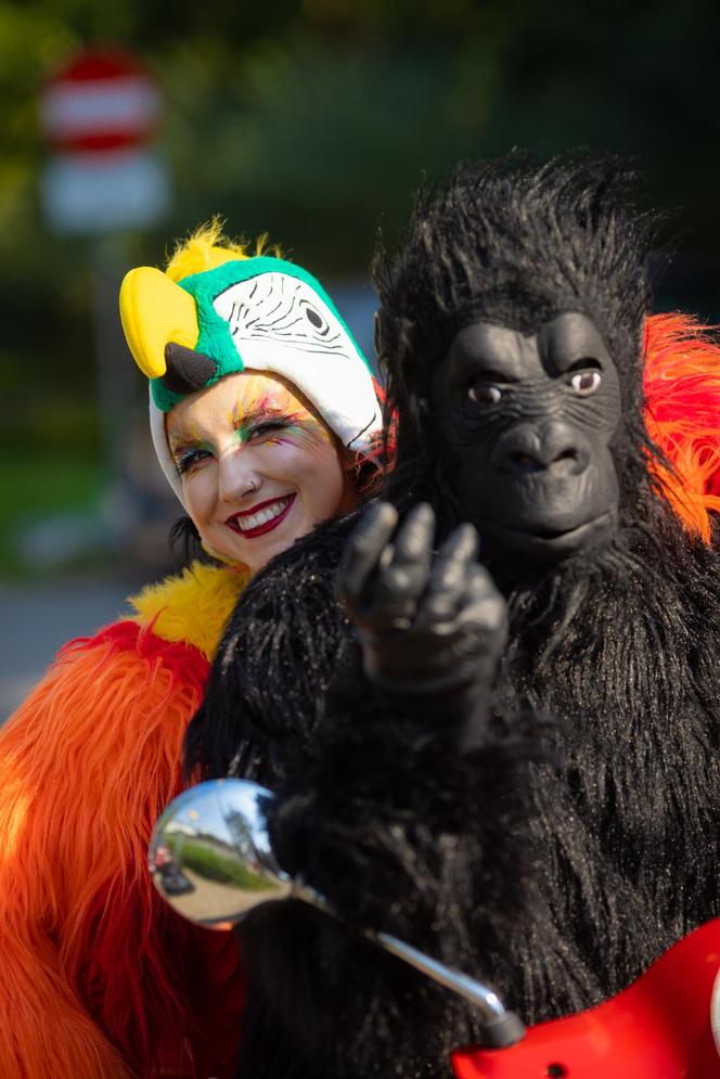 Nadchodzi Jungle Night w FACTORY Kraków. Rabaty sięgną nawet 50 procent!