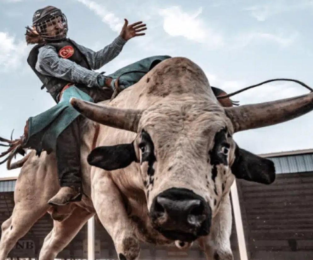 Miasto kontra rodeo. Gliwice powiedziały nie ujeżdżaniu byków