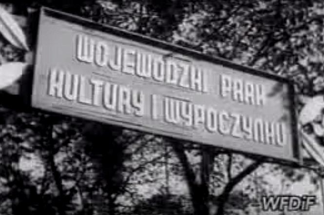 Tak powstawał Park Śląski! Przenieście się do 1952 roku! [WIDEO]