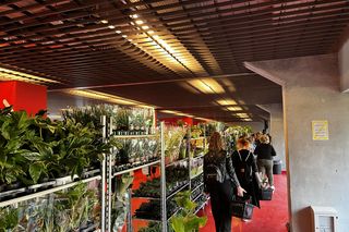 Tłumy na Festiwalu Roślin 2024 w Białymstoku