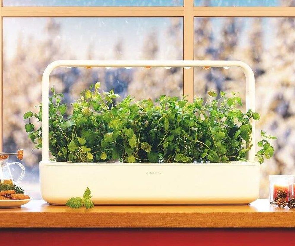 Smart Garden