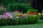 Ogród Botaniczny PAN w Powsinie