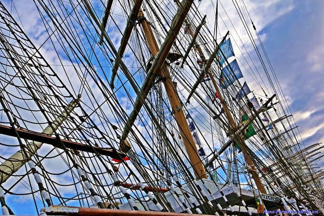 The Tall Ships Races 2017
