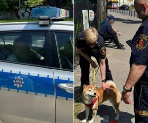 Piknik w Warszawie zamienił się w koszmar. „Za budynkiem mężczyzna bije kobietę”
