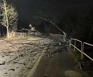 Wichura w województwie pomorskim