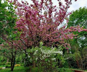 Ogród Botaniczny UKW jest jak nowy. Sprawdźcie, co się tam zmieniło!