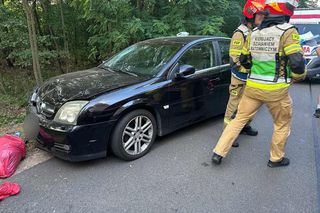 Grobla. Nietrzeźwy 54-latek wjechał w pielgrzymów. 10 osób rannych [ZDJĘCIA]. 