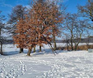 Jezioro Strzeszyńskie w śniegu - luty 2025