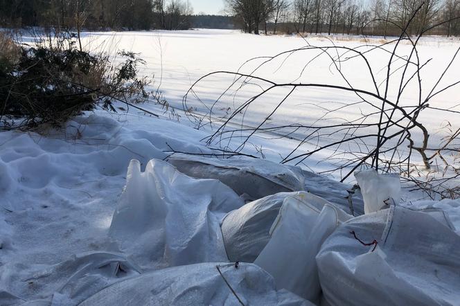 Powódź w Białobrzegach? Sytuacja wciąż może być groźna 