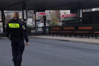 Poznań: Chodził bez maseczki między autobusami! Stanowcza reakcja Straży Miejskiej [ZDJĘCIA]