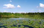 Krynki. Niezwykłe miasteczko na Podlasiu. Historia, zabytki i ciekawostki