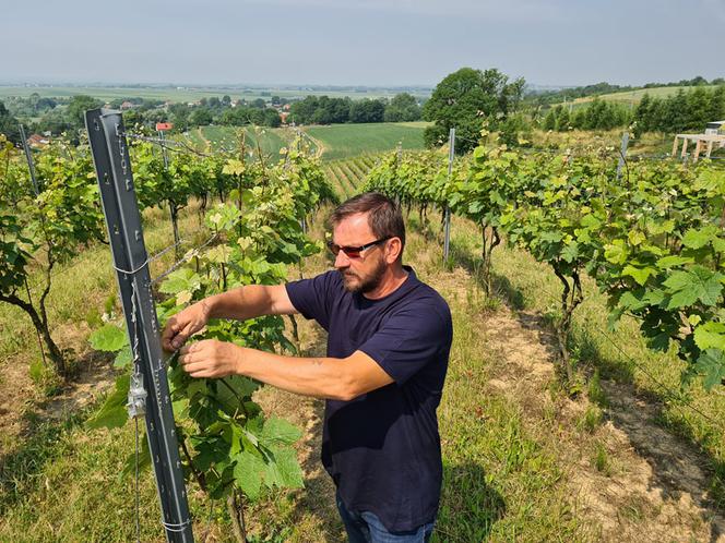 Dariusz Rosół. Pierwszy winiarz w Polsce, który może robić wino mszalne