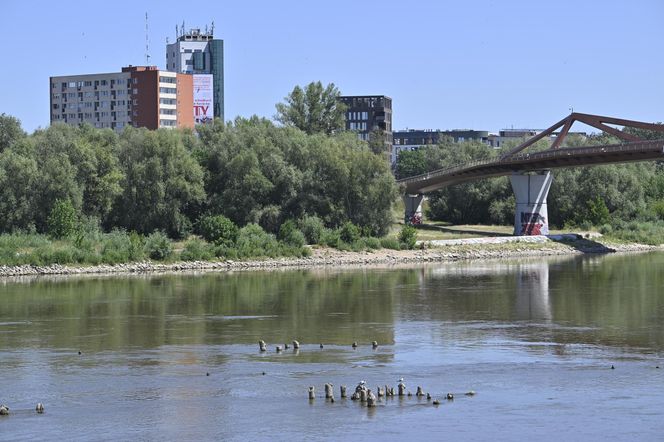 Niski stan wody w Wiśle