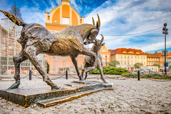 Nowa pensja minimalna 2021