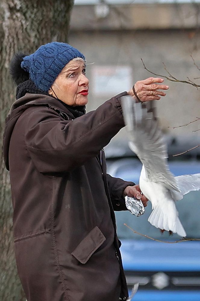 Anna Chodakowska. Gwiazda "Labiryntu" wśród ptaków