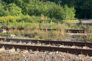 Lubelskie: 71-latek zginął na miejscu. Maszynista nie miał czasu na reakcje