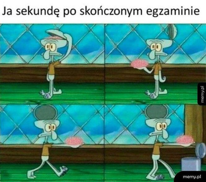 Egzamin ósmoklasisty 2025 r. - memy