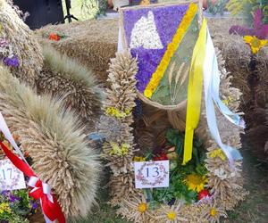 Gminne Święto Rolnicze w Radomku