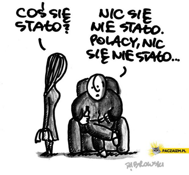 Memy po meczu Polska - Szwecja