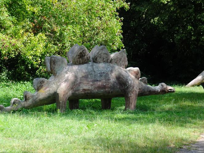 Dolina Dinozaurów na Podzamczu w Łęcznej. Przerażone konie stawały dęba