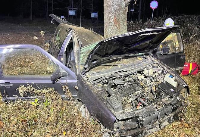 Pijany kierowca rozbił się na drzewie