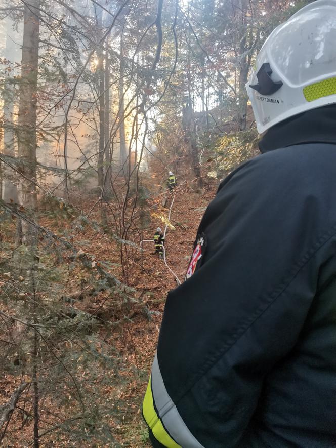 Wyrzucał popiół z kominka, ogniem zajął się hektar lasu w Baligrodzie [Zdjęcia]