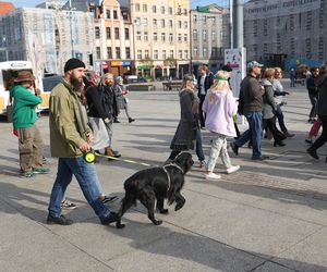 Ulicami Katowic przeszedł I Marsz Śląskiej Przyrody. Wydarzenie, jakiego jeszcze nie było