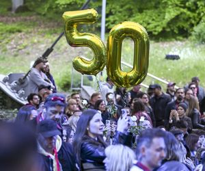 Drugi dzień Polsat Hit Festiwal w Sopocie. Gwiazdy ponownie zachwyciły!