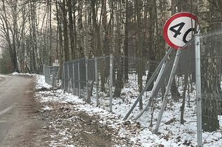 Kacper po wszystkim uciekł do lasu. Udawał, że robi pompki