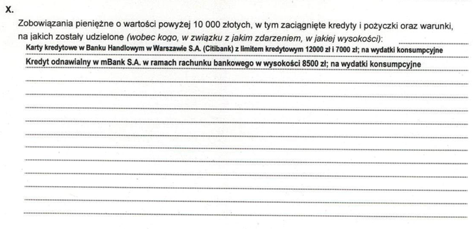 Aleksandra Dulkiewicz i jej majątek